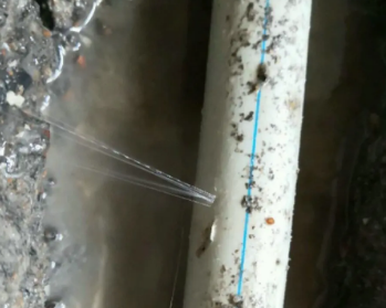 高港卫生间测漏水多少钱