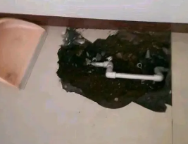 高港卫生间测漏水多少钱